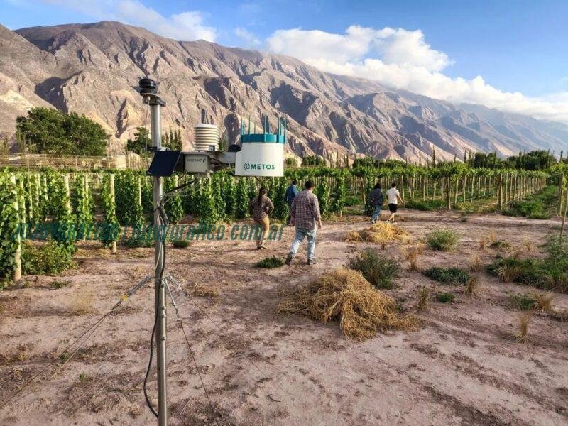 Jujuy lanzó Centro Vitivinícola y Red Agroclimática para vinos de altura de calidad 8 Jujuy lanzó Centro Vitivinícola y Red Agroclimática para vinos de altura de calidad 2