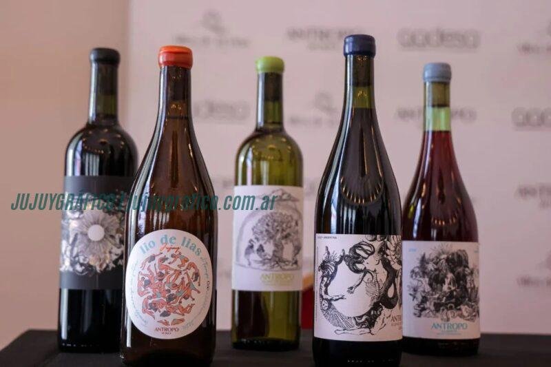 Jujuy lanzó Centro Vitivinícola y Red Agroclimática para vinos de altura de calidad 3 Jujuy lanzó Centro Vitivinícola y Red Agroclimática para vinos de altura de calidad 3