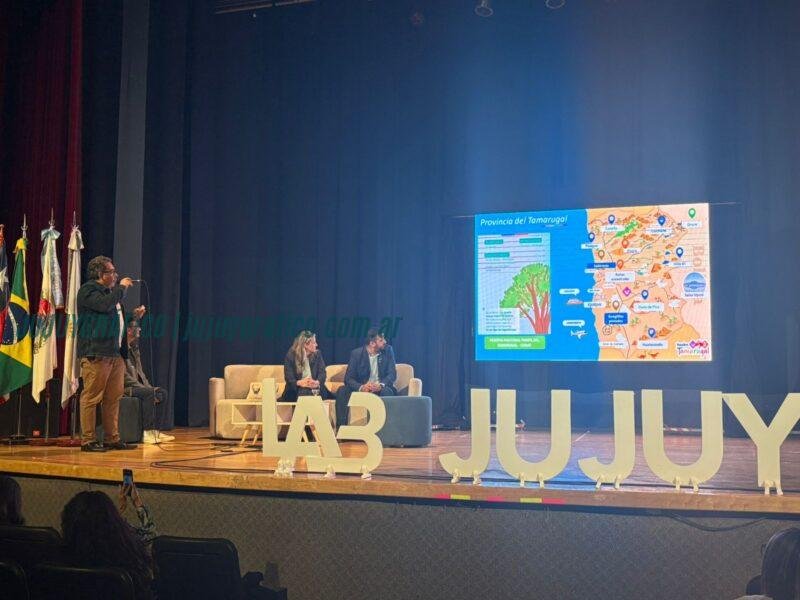 Jujuy se consolida como epicentro del turismo andino bioceánico tras histórico encuentro internacional 5 Jujuy se consolida como epicentro del turismo andino bioceánico tras histórico encuentro internacional 5