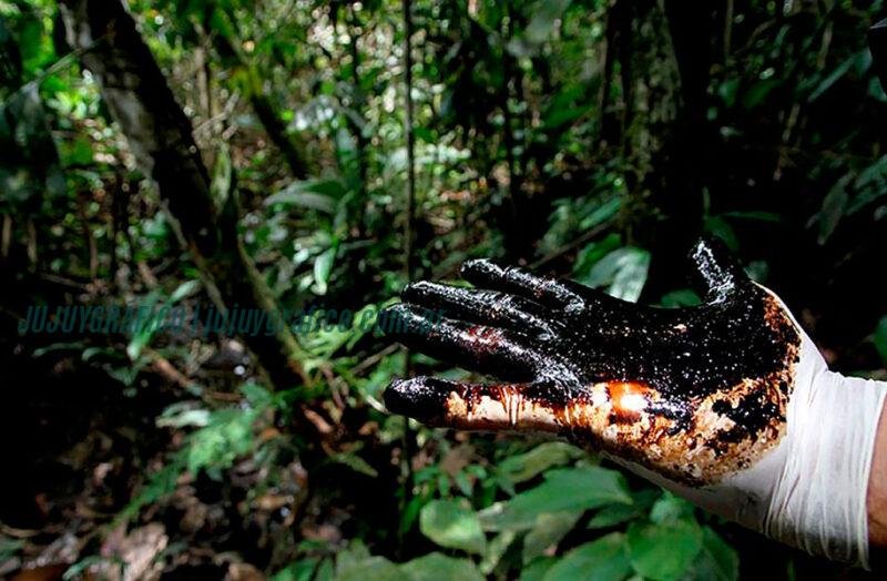 Corte Suprema ordena el cese definitivo de explotación petrolera en Parque Nacional Calilegua 16