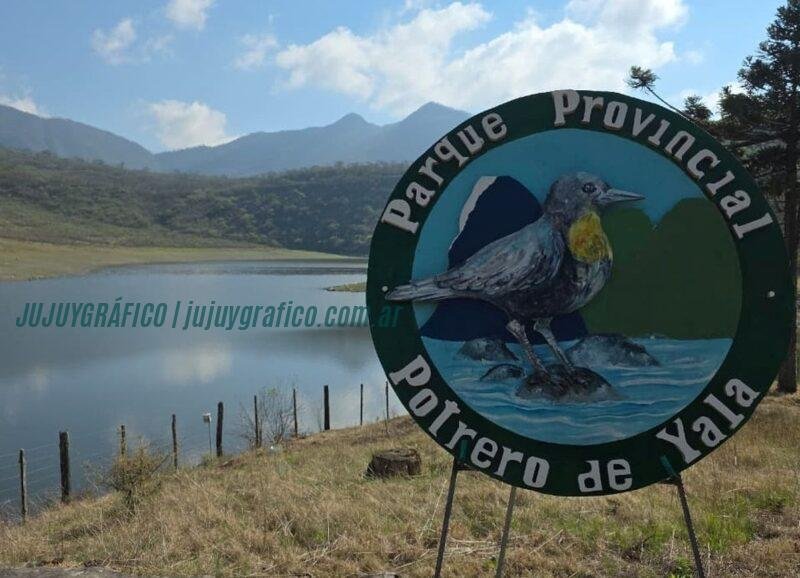 Parque Potrero de Yala: requisitos obligatorios tras incendio en Cerro Azul 8 Parque Potrero de Yala, requisitos obligatorios tras incendio en Cerro Azul 5