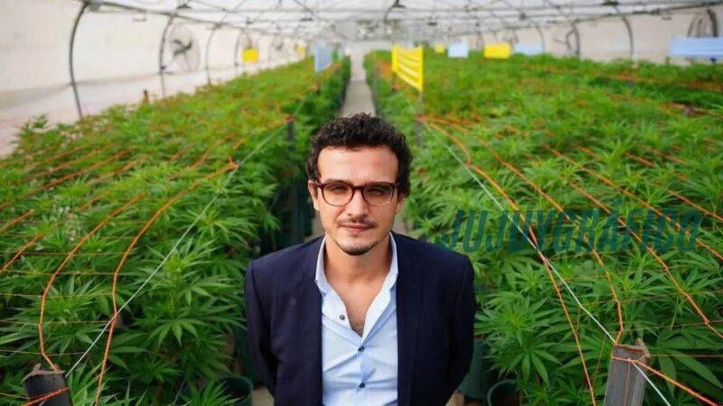 Cannava, La estatal de cannabis que vale millones a costa de los contribuyentes jujeños 07 Cannava, La estatal de cannabis que vale millones a costa de los contribuyentes jujeños 07