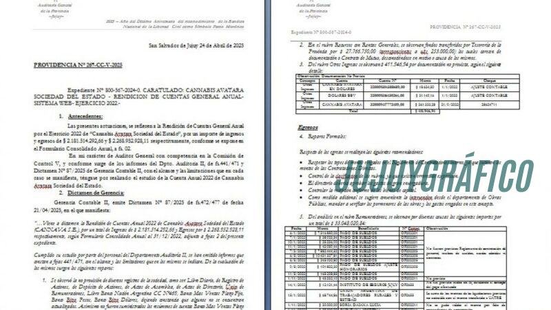 Cannava, La estatal de cannabis que vale millones a costa de los contribuyentes jujeños 12 Cannava, La estatal de cannabis que vale millones a costa de los contribuyentes jujeños 12