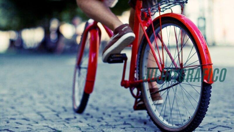 La bicicleta: Solución sostenible para el transporte cotidiano 1 La bicicleta, Solución sostenible para el transporte cotidiano 3
