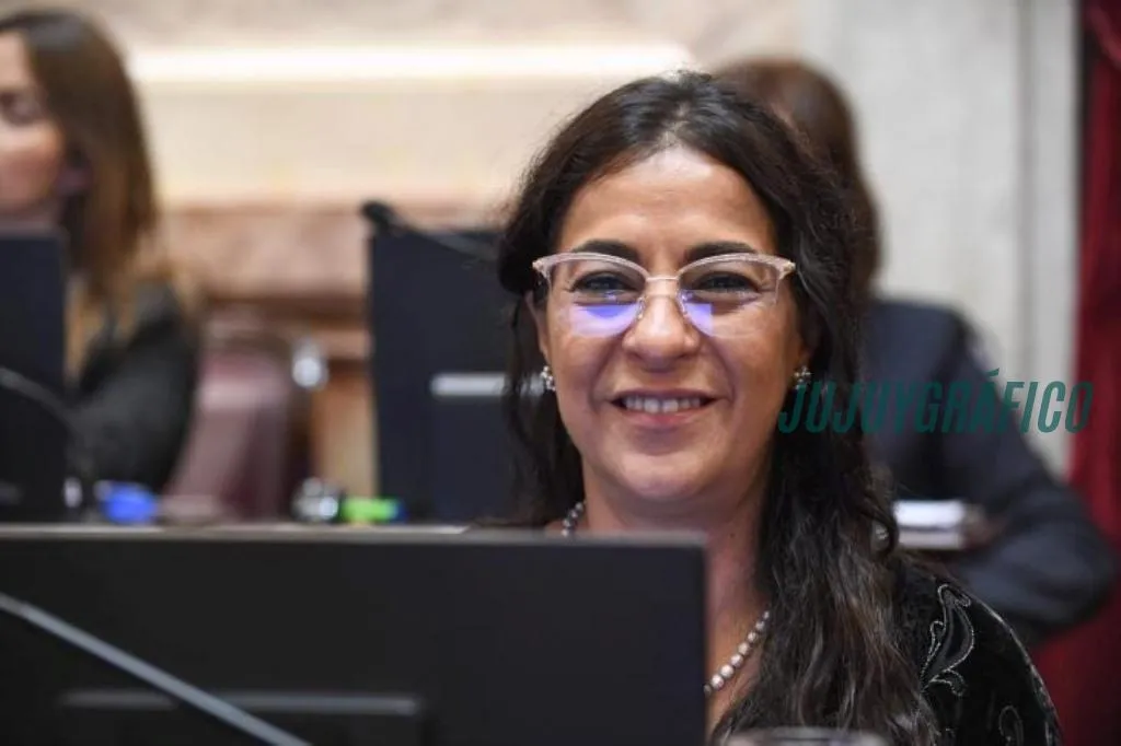 El voto que dividió al peronismo jujeño, Carolina Moisés entre amenazas y acusaciones de traición 6 El voto que dividió al peronismo jujeño, Carolina Moisés entre amenazas y acusaciones de traición 6