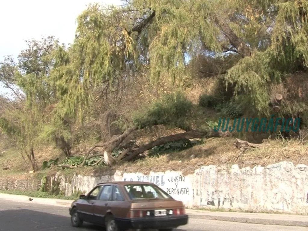 Proyecto ganador de concurso arquitectónico para la Barranca de Castañeda enfrenta resistencia vecinal tras una década 09 Proyecto ganador de concurso arquitectónico para la Barranca de Castañeda enfrenta resistencia vecinal tras una década 09