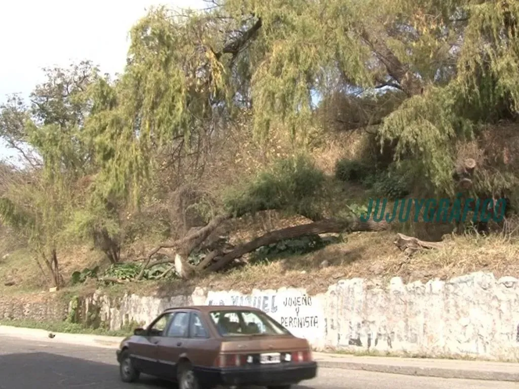 Proyecto ganador de concurso arquitectónico para la Barranca de Castañeda enfrenta resistencia vecinal tras una década 09 Proyecto ganador de concurso arquitectónico para la Barranca de Castañeda enfrenta resistencia vecinal tras una década 09