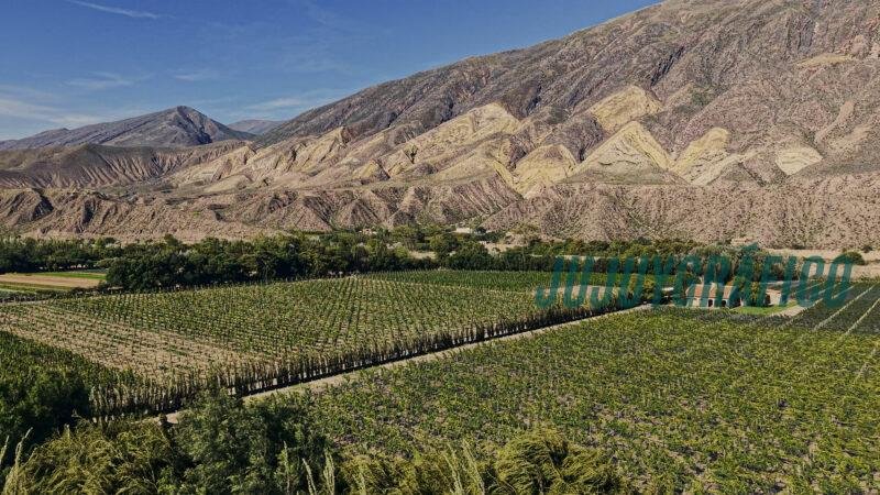 campo de vides, Maimará brilla, celebró la distinción mundial otorgada por ONU Turismo en China campo de vides, Maimará brilla, celebró la distinción mundial otorgada por ONU Turismo en China