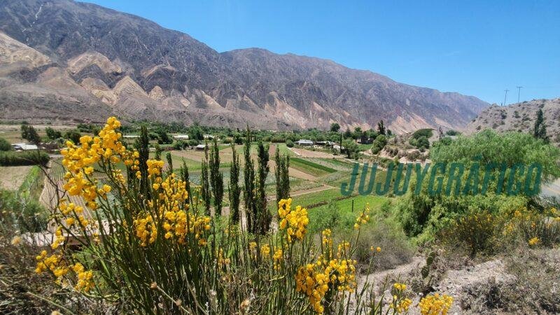 campos de cultivo, Maimará brilla, celebró la distinción mundial otorgada por ONU Turismo en China