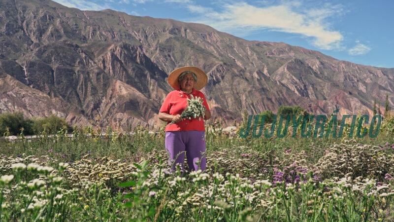 dona ramona, Maimará brilla, celebró la distinción mundial otorgada por ONU Turismo en China dona ramona, Maimará brilla, celebró la distinción mundial otorgada por ONU Turismo en China
