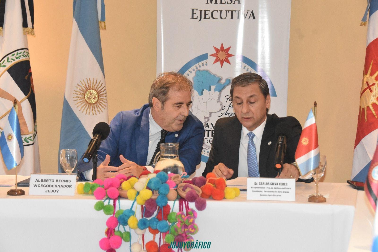Alberto Bernis Carlos Silva Neder Cumbre explosiva en Jujuy. el Norte Grande va por litio, tarifas y soberanía 1