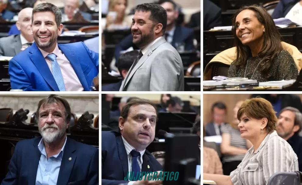 Jorge Rizzotti, Manuel Quintar, Bárbara Andreussi y Alfredo González Jujuy en el centro, cómo la reforma de la Ley de Glaciares convirtió a la provincia en pieza clave del tablero nacional 81 Jorge Rizzotti, Manuel Quintar, Bárbara Andreussi y Alfredo González Jujuy en el centro, cómo la reforma de la Ley de Glaciares convirtió a la provincia en pieza clave del tablero nacional 81