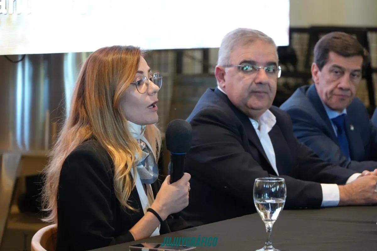 Jujuy epicentro del “oro blanco”, la Mesa del Litio firma acuerdo histórico con el CFI y crea un poderoso bloque regional para blindar inversiones 11Raúl Jalil