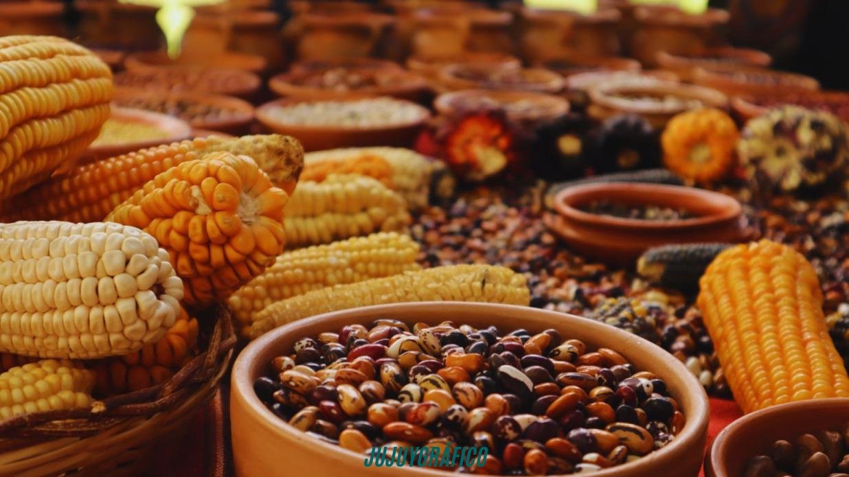 Raíces en Jujuy, 150 productores colla custodian el futuro de los alimentos andinos 1 Raíces en Jujuy, 150 productores colla custodian el futuro de los alimentos andinos 1