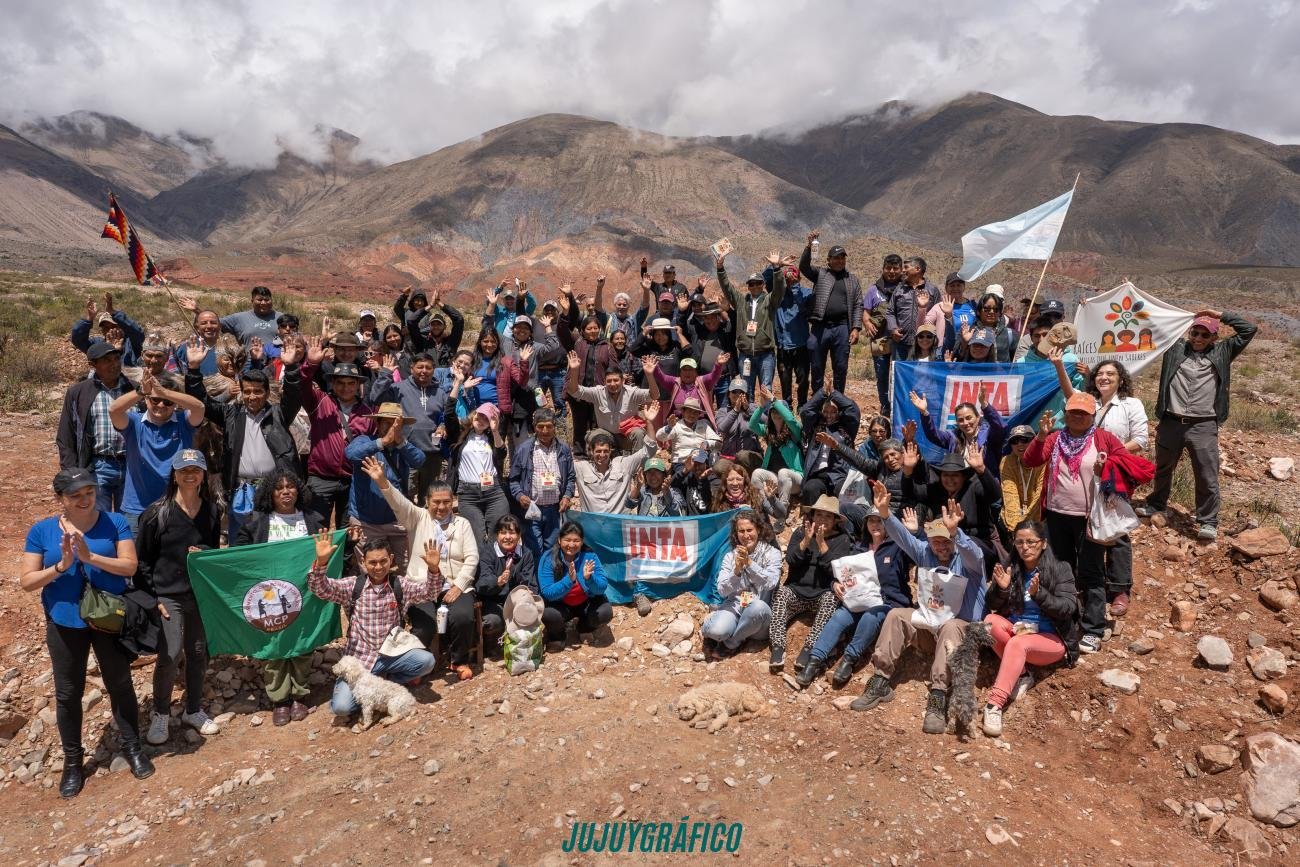 Raíces en Jujuy, 150 productores colla custodian el futuro de los alimentos andinos 2 Raíces en Jujuy, 150 productores colla custodian el futuro de los alimentos andinos 2