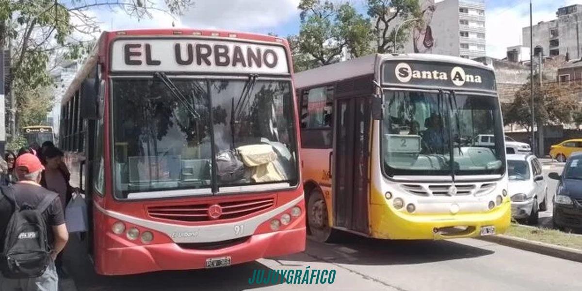 Licitación polémica de colectivos: el escándalo que pone en peligro a miles de pasajeros cada día 5 Licitación polémica de colectivos, el escándalo que pone en peligro a miles de pasajeros cada día 01