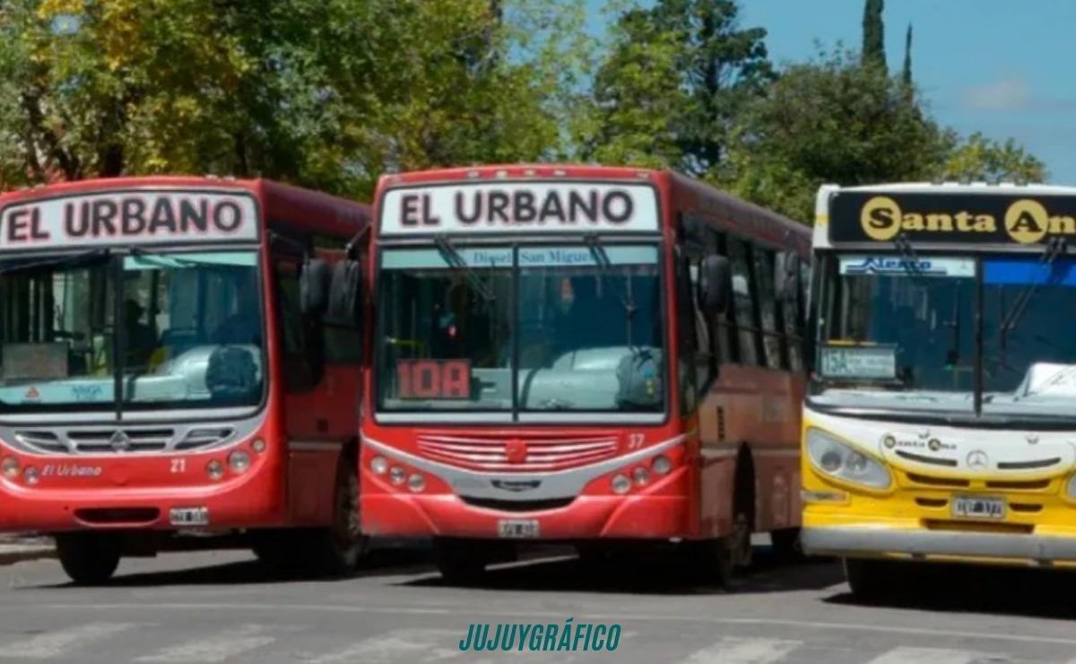 Licitación polémica de colectivos, el escándalo que pone en peligro a miles de pasajeros cada día 04 Licitación polémica de colectivos, el escándalo que pone en peligro a miles de pasajeros cada día 04