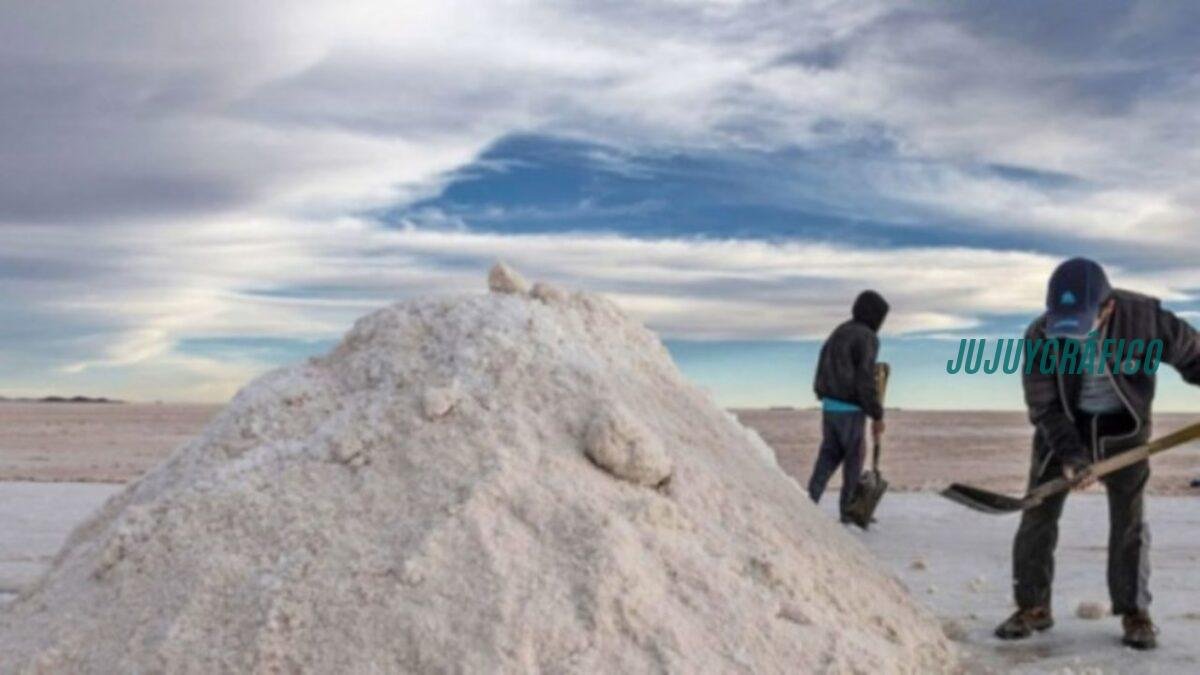 Festival de la Sal Jujuy 2026: 17 ediciones de historia kolla en las Salinas Grandes 3 Festival de la Sal Jujuy 2026, 17 ediciones de historia kolla en las Salinas Grandes 11