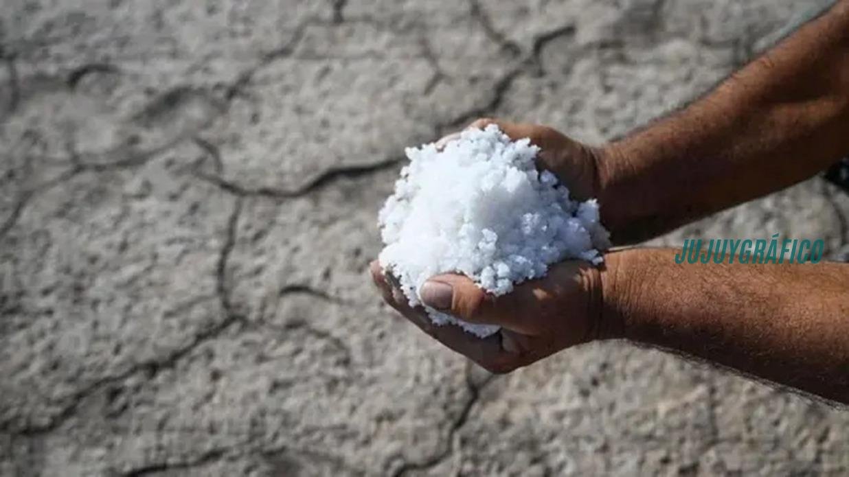 Festival de la Sal Jujuy 2026, 17 ediciones de historia kolla en las Salinas Grandes 2