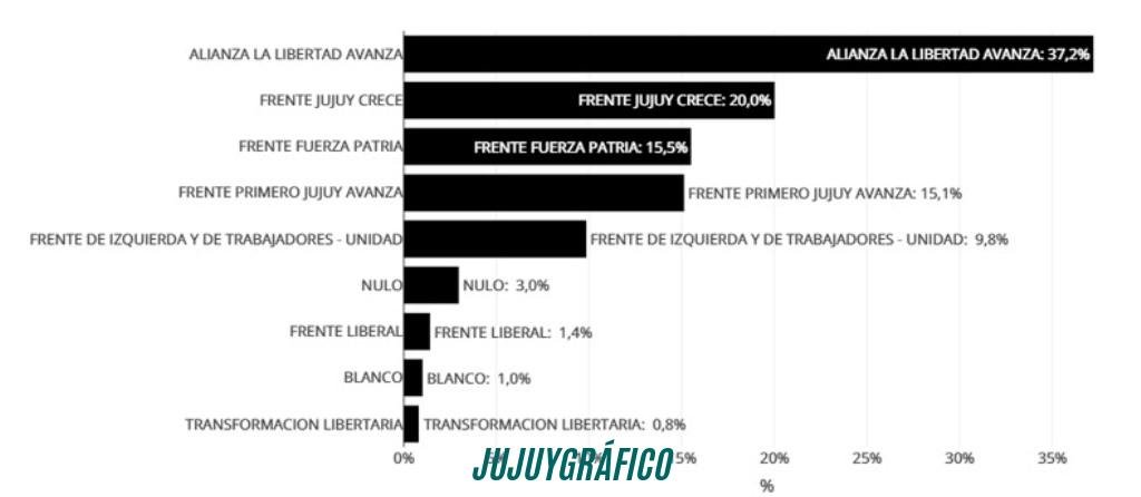 Intervención PJ Jujuy confirmada, el revelador fallo que desplazó a Villada en 180 días 15 Intervención PJ Jujuy confirmada, el revelador fallo que desplazó a Villada en 180 días 15