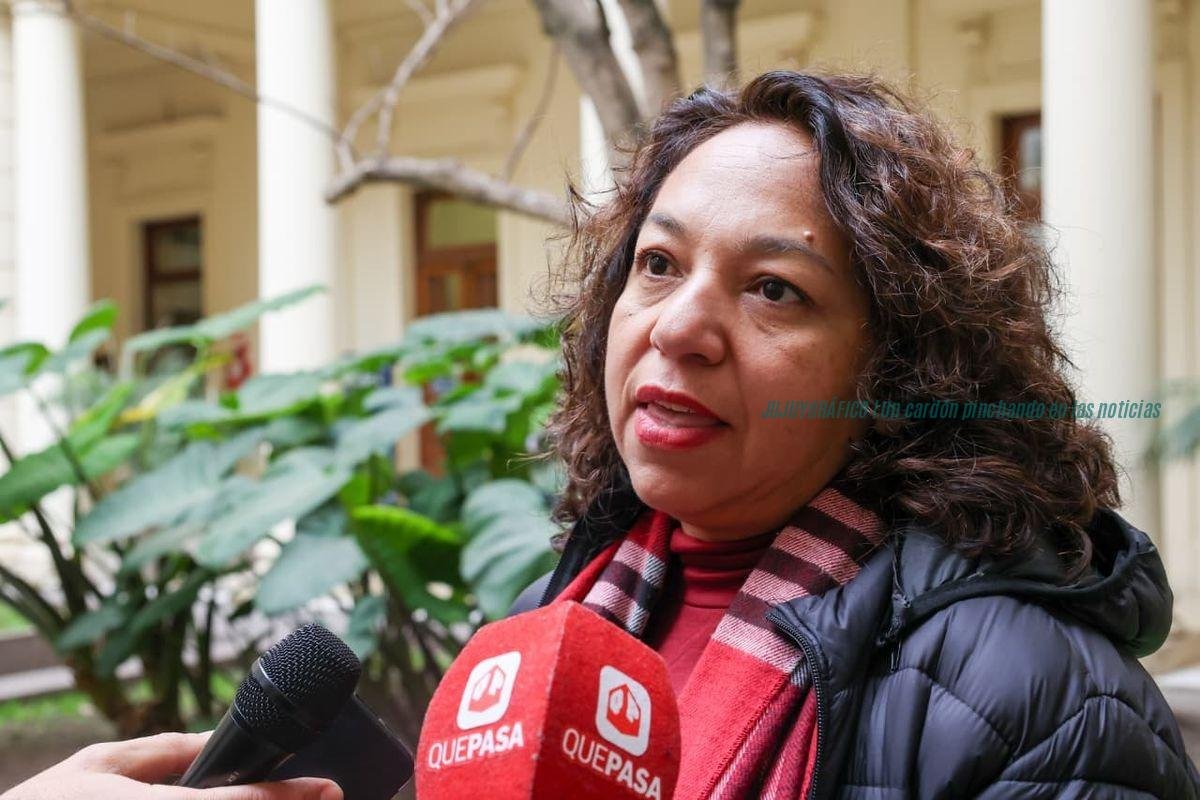 Ana Cristina Rodríguez Rescate de vicuñas en Jujuy, el Gobierno confirma multas millonarias tras el cierre del criadero de Rodero 4 Ana Cristina Rodríguez Rescate de vicuñas en Jujuy, el Gobierno confirma multas millonarias tras el cierre del criadero de Rodero 4