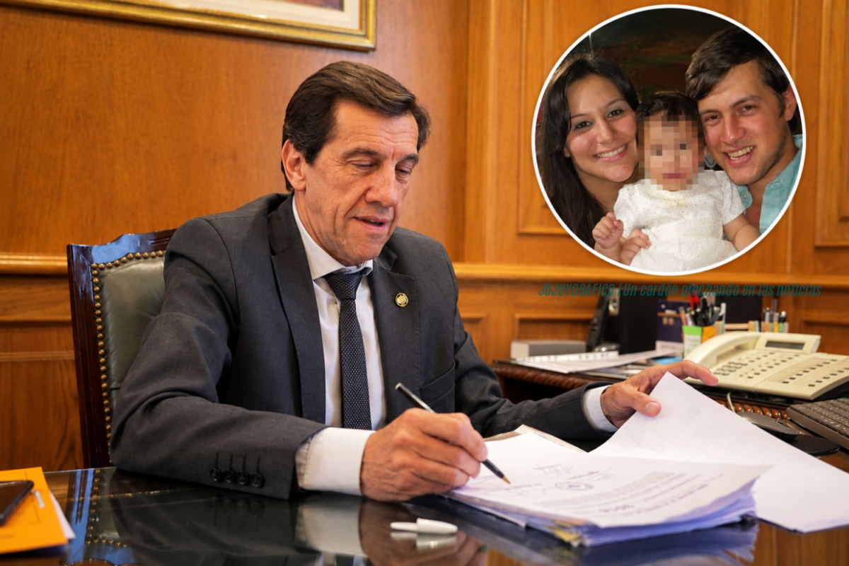 Sadir negocios familiares revelador informe destapa $731 millones a su nuera 17 Sadir negocios familiares gobernador Jujuy despacho oficial