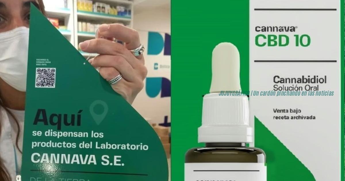 Cannava Jujuy, de la carta documento a Cristina Guzmán a las 5 claves de la finca El Remate que no existe pero tiene invernaderos 10