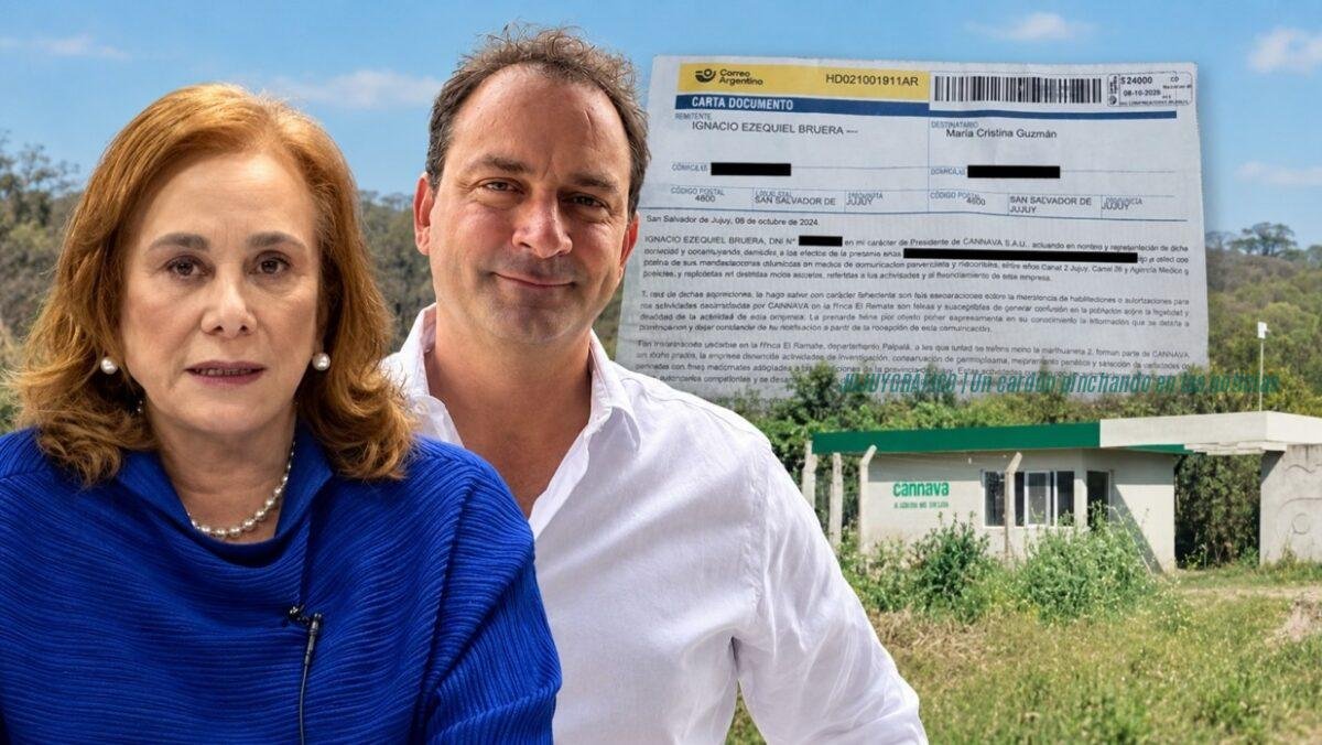 Cannava Jujuy: de la carta documento a Cristina Guzmán a las 5 claves de la finca El Remate que "no existe" pero tiene invernaderos 1 Cannava Jujuy, de la carta documento a Cristina Guzmán a las 5 claves de la finca El Remate que no existe pero tiene invernaderos 18