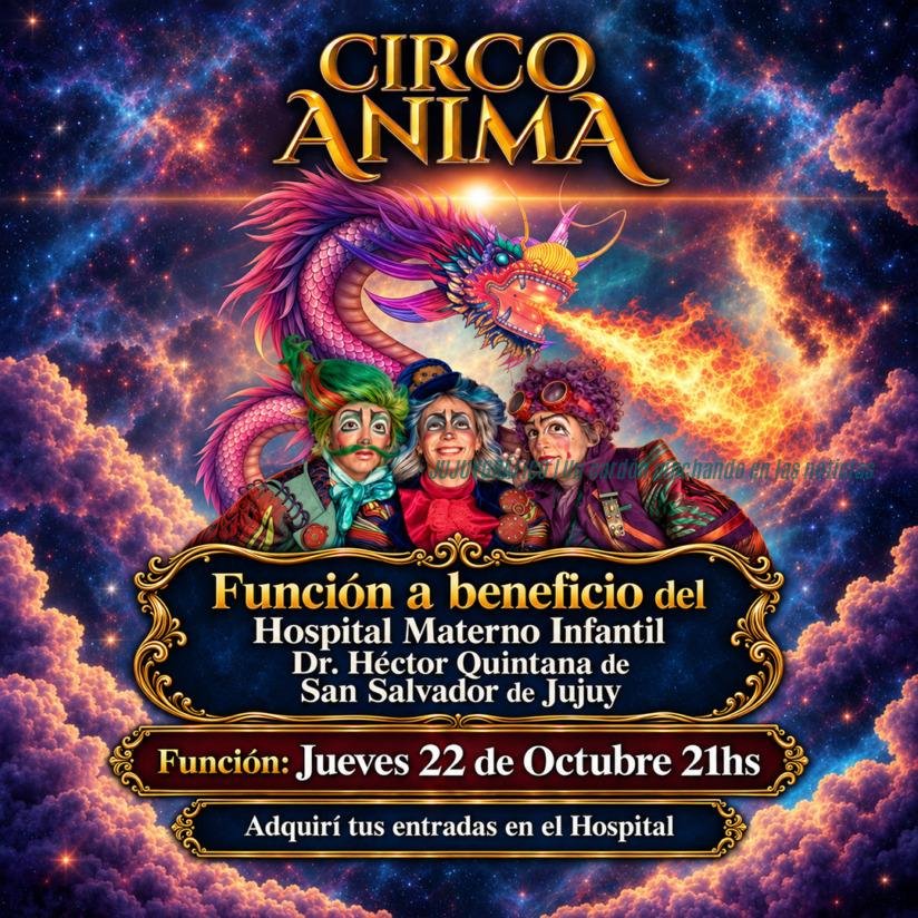 Función solidaria de Circo Ánima en Jujuy: carpa climatizada del espectáculo «Abre tus Alas» en el Parque San Martín