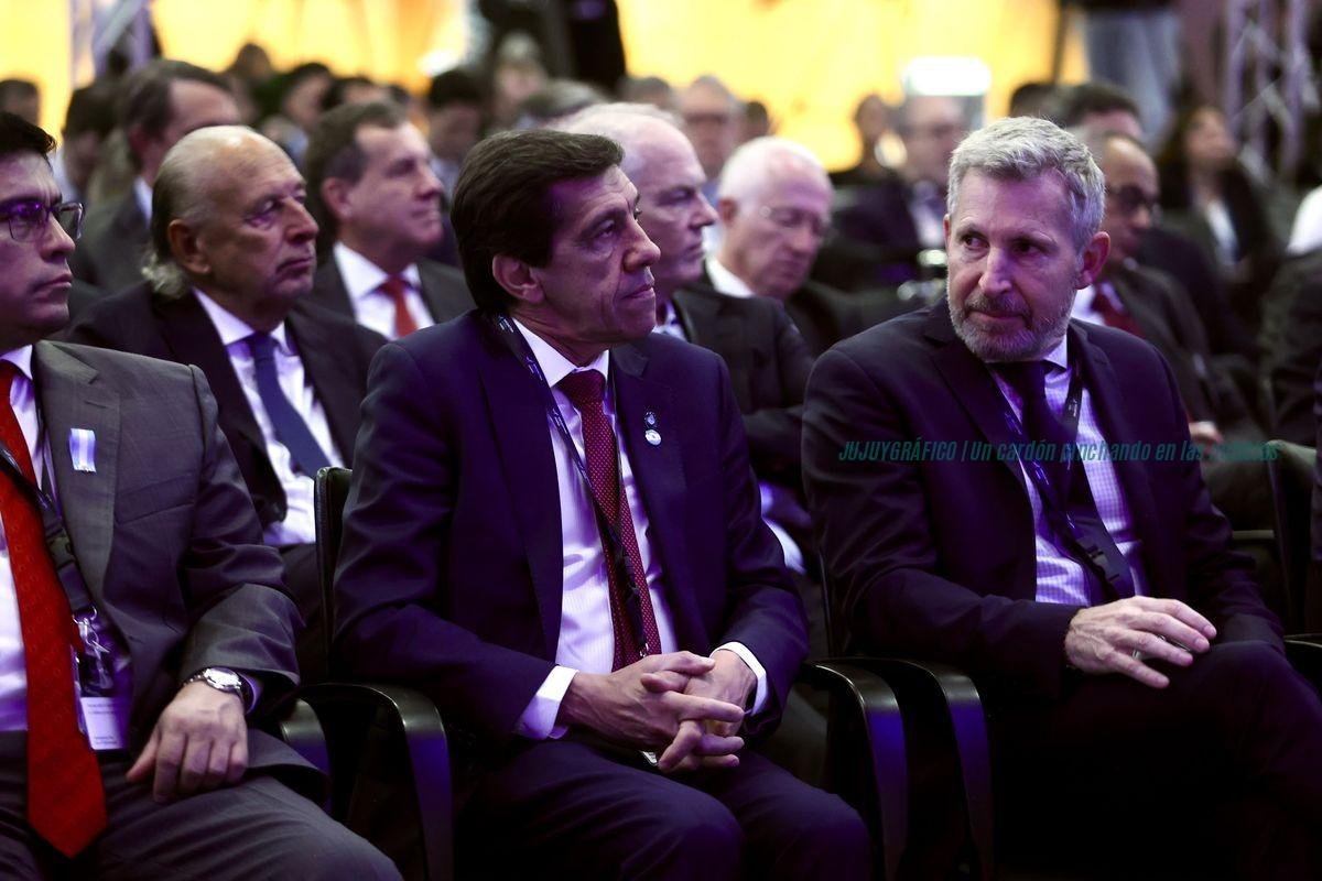 Litio en Jujuy la clave de París son 150.000 toneladas y un RIGI que espera 1