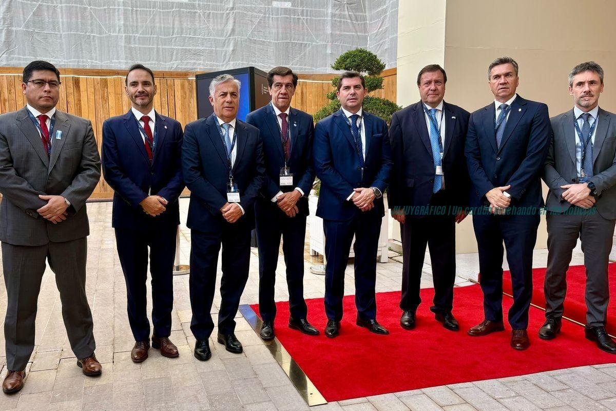 Litio en Jujuy la clave de París son 150.000 toneladas y un RIGI que espera 2