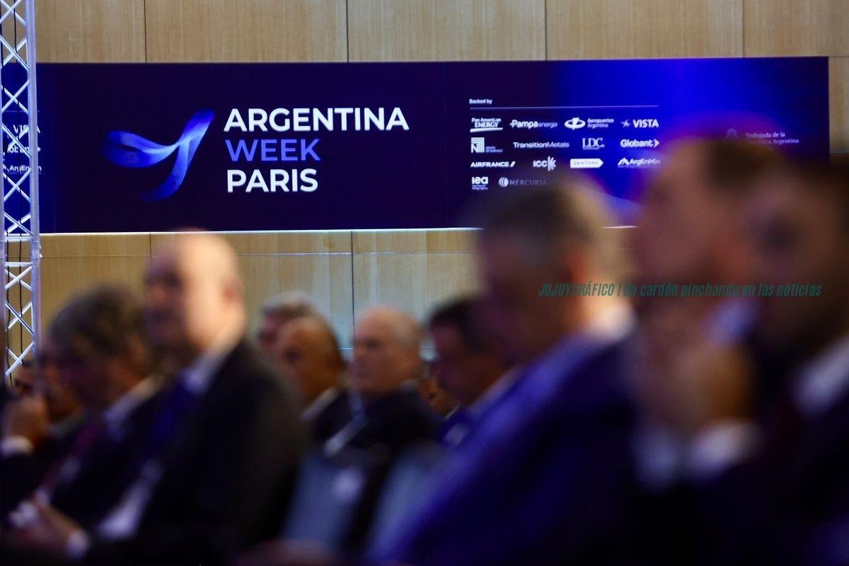 Litio en Jujuy la clave de París son 150.000 toneladas y un RIGI que espera 3