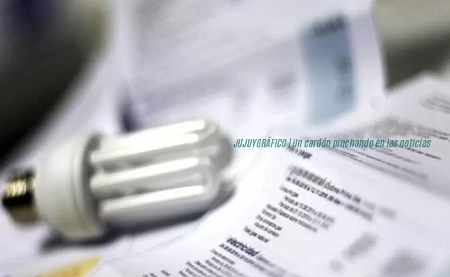 Subsidio de luz factura 2